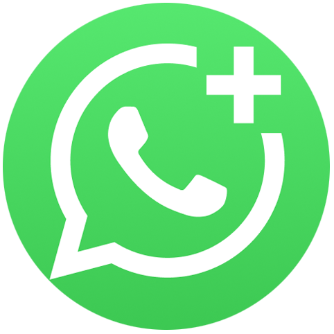 WhatsApp Consultation